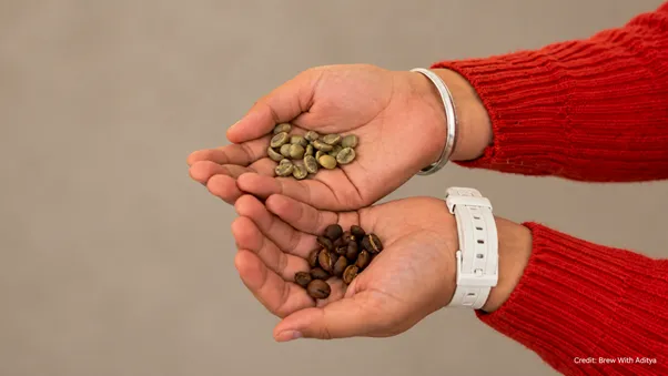 What Actually Happens Inside the Bean While It Roasts